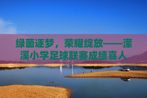 绿茵逐梦,荣耀绽放——潆溪小学足球联赛成绩喜人