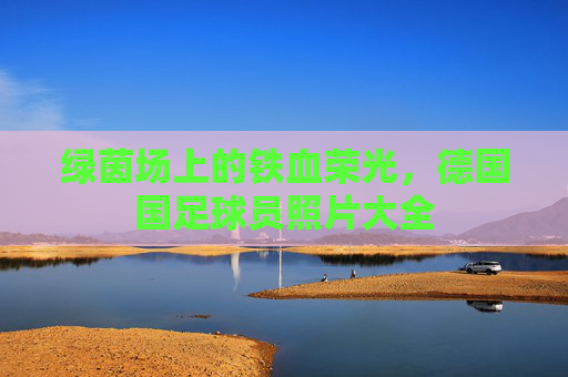 绿茵场上的铁血荣光，德国国足球员照片大全