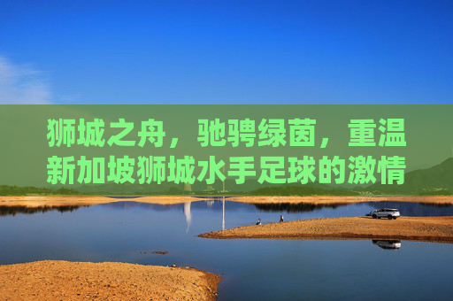 狮城之舟，驰骋绿茵，重温新加坡狮城水手足球的激情与荣耀