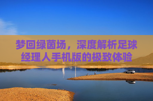 梦回绿茵场,深度解析足球经理人手机版的极致体验