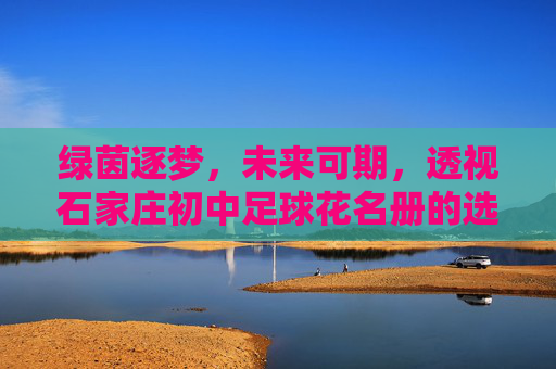 绿茵逐梦,未来可期,透视石家庄初中足球花名册的选拔与培养