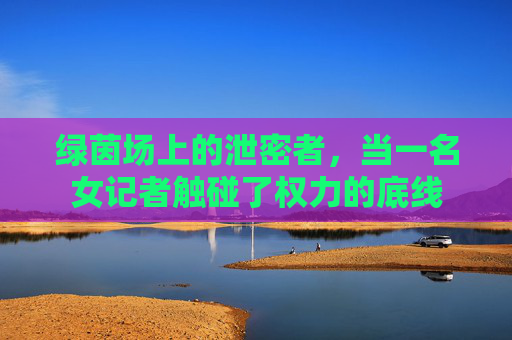 绿茵场上的泄密者,当一名女记者触碰了权力的底线