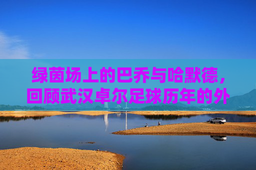 绿茵场上的巴乔与哈默德，回顾武汉卓尔足球历年的外援风云