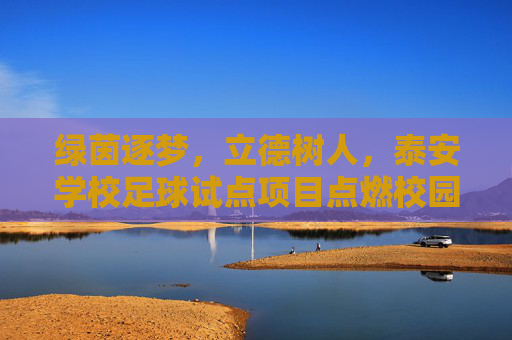绿茵逐梦，立德树人，泰安学校足球试点项目点燃校园新活力
