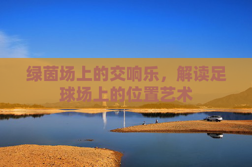 绿茵场上的交响乐，解读足球场上的位置艺术