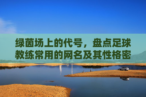 绿茵场上的代号，盘点足球教练常用的网名及其性格密码
