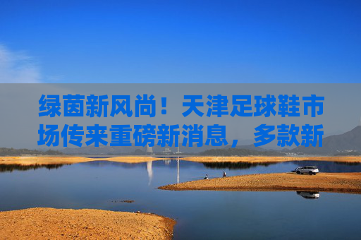 绿茵新风尚！天津足球鞋市场传来重磅新消息，多款新品引爆关注
