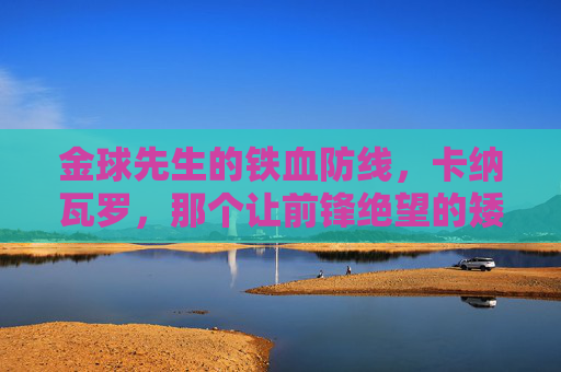 金球先生的铁血防线，卡纳瓦罗，那个让前锋绝望的矮个子后卫