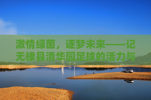 激情绿茵，逐梦未来——记无棣县清华园足球的活力与风采