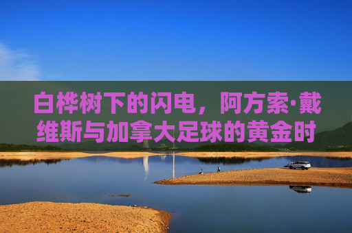 白桦树下的闪电，阿方索·戴维斯与加拿大足球的黄金时代