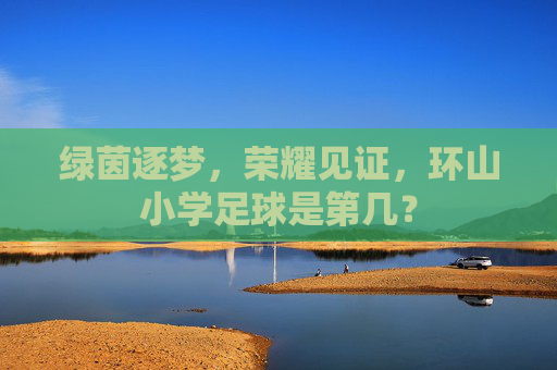绿茵逐梦，荣耀见证，环山小学足球是第几？