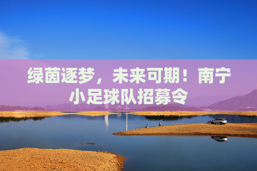 绿茵逐梦，未来可期！南宁小足球队招募令
