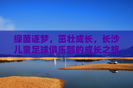 绿茵逐梦，茁壮成长，长沙儿童足球俱乐部的成长之旅
