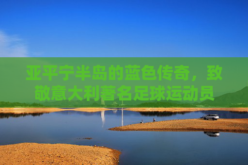 亚平宁半岛的蓝色传奇，致敬意大利著名足球运动员