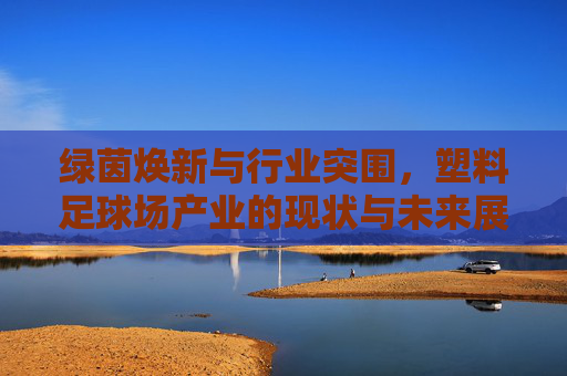 绿茵焕新与行业突围，塑料足球场产业的现状与未来展望