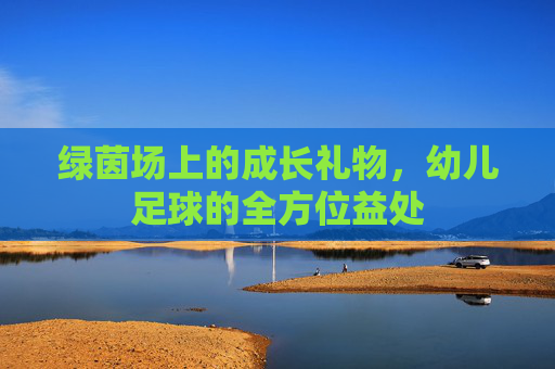 绿茵场上的成长礼物，幼儿足球的全方位益处