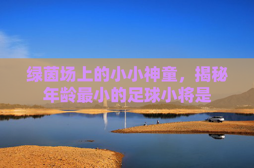 绿茵场上的小小神童，揭秘年龄最小的足球小将是