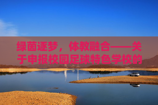 绿茵逐梦，体教融合——关于申报校园足球特色学校的汇报