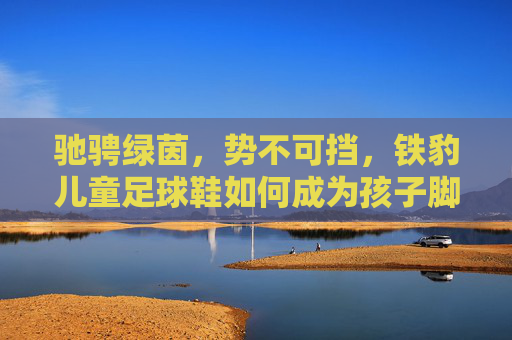 驰骋绿茵，势不可挡，铁豹儿童足球鞋如何成为孩子脚下的加速器