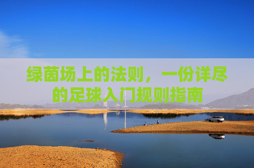 绿茵场上的法则，一份详尽的足球入门规则指南