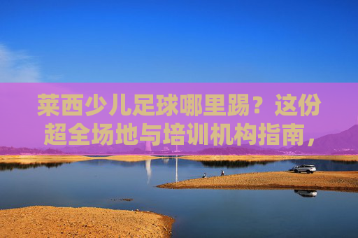 莱西少儿足球哪里踢？这份超全场地与培训机构指南，建议收藏！
