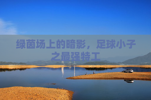 绿茵场上的暗影，足球小子之最强特工