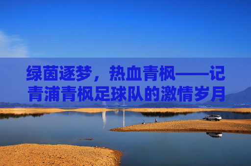 绿茵逐梦，热血青枫——记青浦青枫足球队的激情岁月