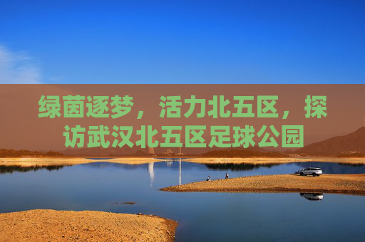 绿茵逐梦，活力北五区，探访武汉北五区足球公园
