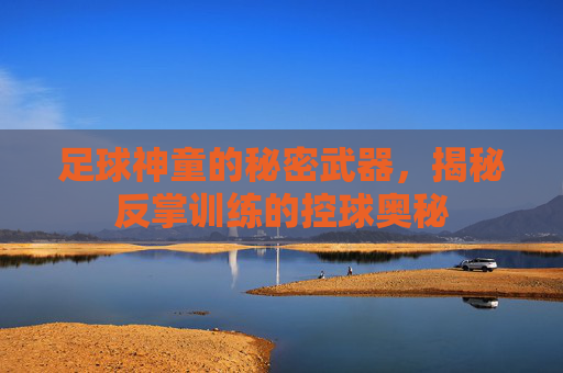 足球神童的秘密武器，揭秘反掌训练的控球奥秘