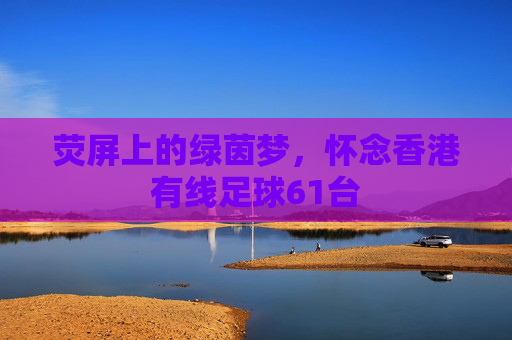 荧屏上的绿茵梦，怀念香港有线足球61台