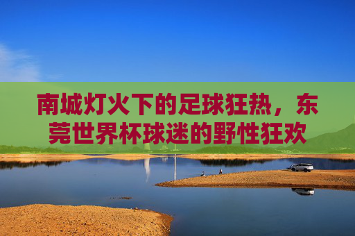 南城灯火下的足球狂热，东莞世界杯球迷的野性狂欢