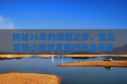 跨越36年的绿茵之梦，重温足球小将世青赛的热血青春