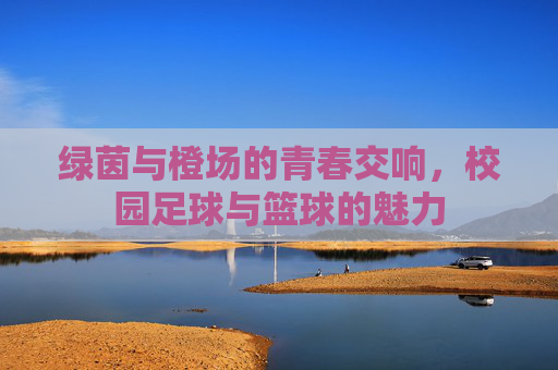 绿茵与橙场的青春交响，校园足球与篮球的魅力