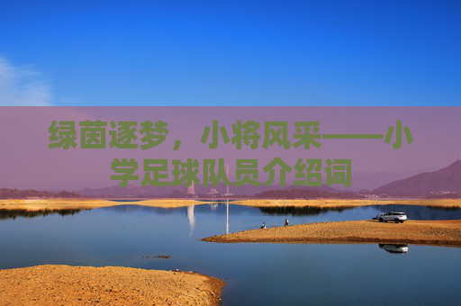 绿茵逐梦，小将风采——小学足球队员介绍词