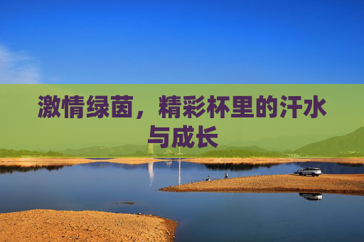 激情绿茵，精彩杯里的汗水与成长