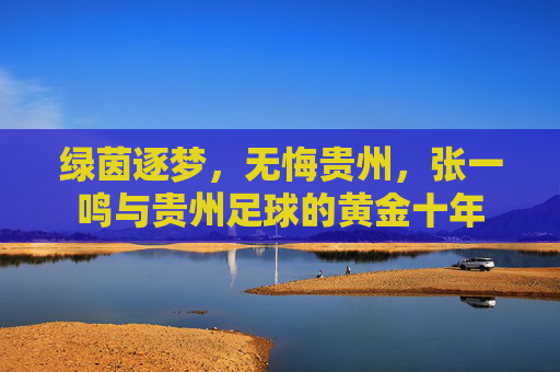 绿茵逐梦，无悔贵州，张一鸣与贵州足球的黄金十年