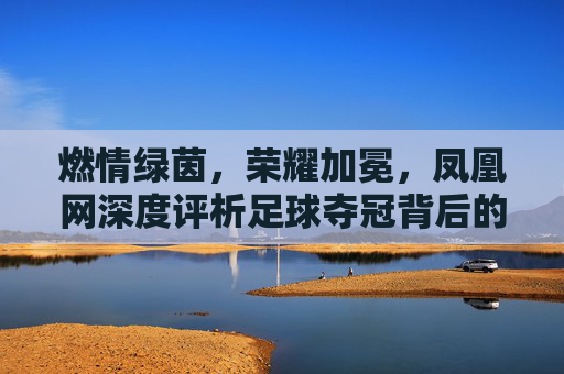 燃情绿茵，荣耀加冕，凤凰网深度评析足球夺冠背后的荣光与新生
