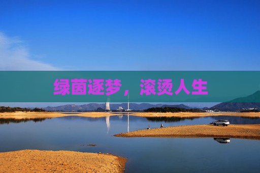 绿茵逐梦，滚烫人生