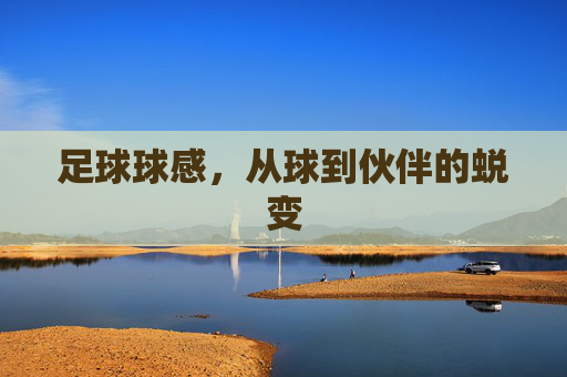 足球球感，从球到伙伴的蜕变
