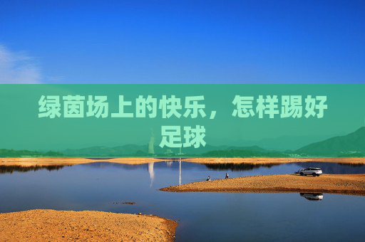 绿茵场上的快乐，怎样踢好足球