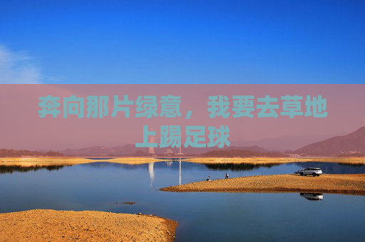 奔向那片绿意，我要去草地上踢足球