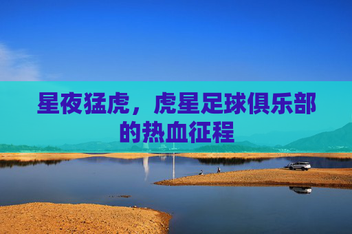 星夜猛虎，虎星足球俱乐部的热血征程