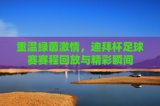 重温绿茵激情，迪拜杯足球赛赛程回放与精彩瞬间