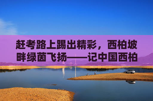 赶考路上踢出精彩，西柏坡畔绿茵飞扬——记中国西柏坡足球邀请赛