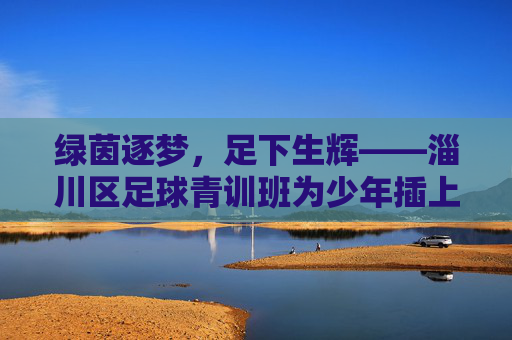 绿茵逐梦，足下生辉——淄川区足球青训班为少年插上腾飞的翅膀