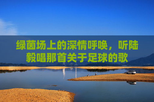 绿茵场上的深情呼唤，听陆毅唱那首关于足球的歌
