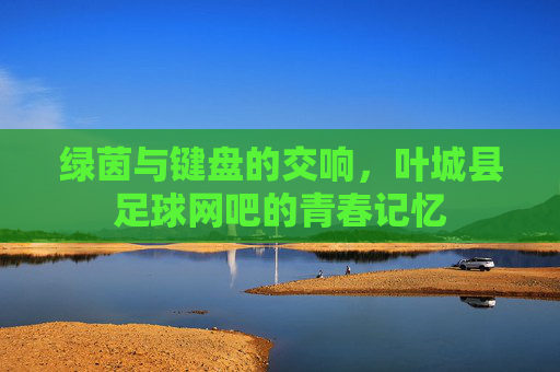 绿茵与键盘的交响，叶城县足球网吧的青春记忆