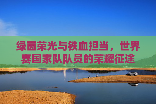 绿茵荣光与铁血担当，世界赛国家队队员的荣耀征途