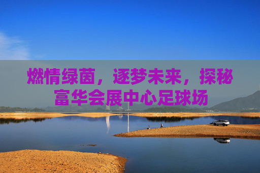 燃情绿茵，逐梦未来，探秘富华会展中心足球场