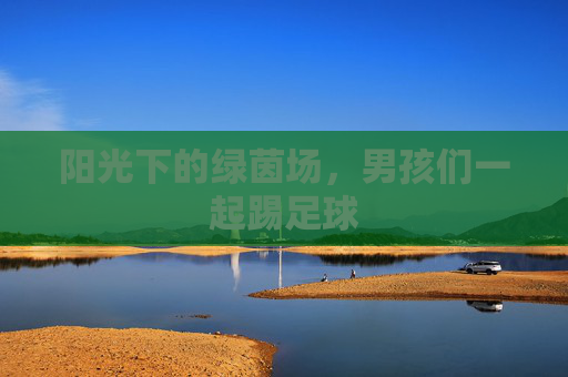 阳光下的绿茵场，男孩们一起踢足球